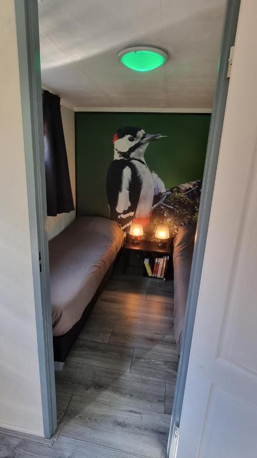De Bonte Specht Otel Hattemerbroek Dış mekan fotoğraf